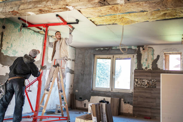 Best Soundproof Insulation Installation  in Springdale, AR