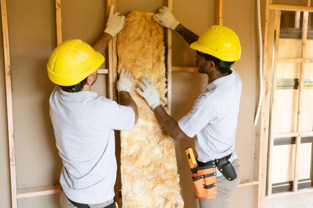 Best Home Insulation Services  in Springdale, AR