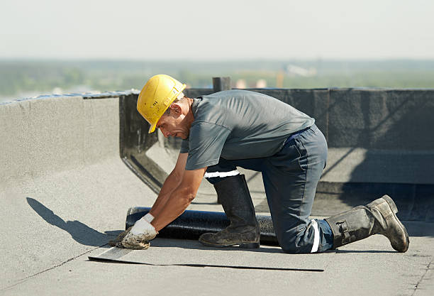 Best Local Insulation Services  in Springdale, AR